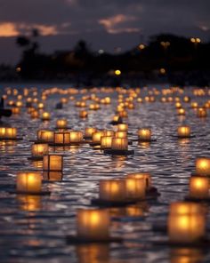 candles on the river.jpg