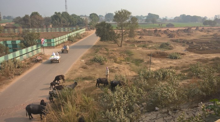 WP_20160103_14_26_01_Pro