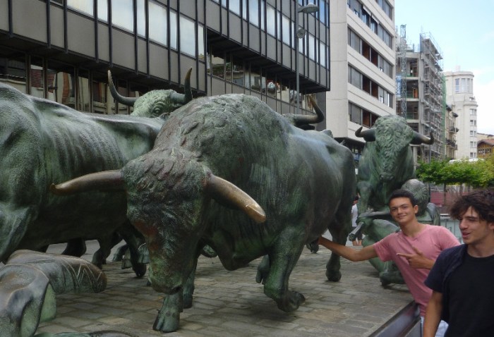 Bulls