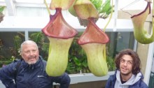 Max n Nik admiring pitcher plants
