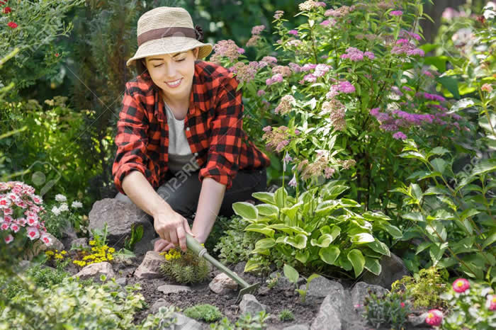 woman gardening