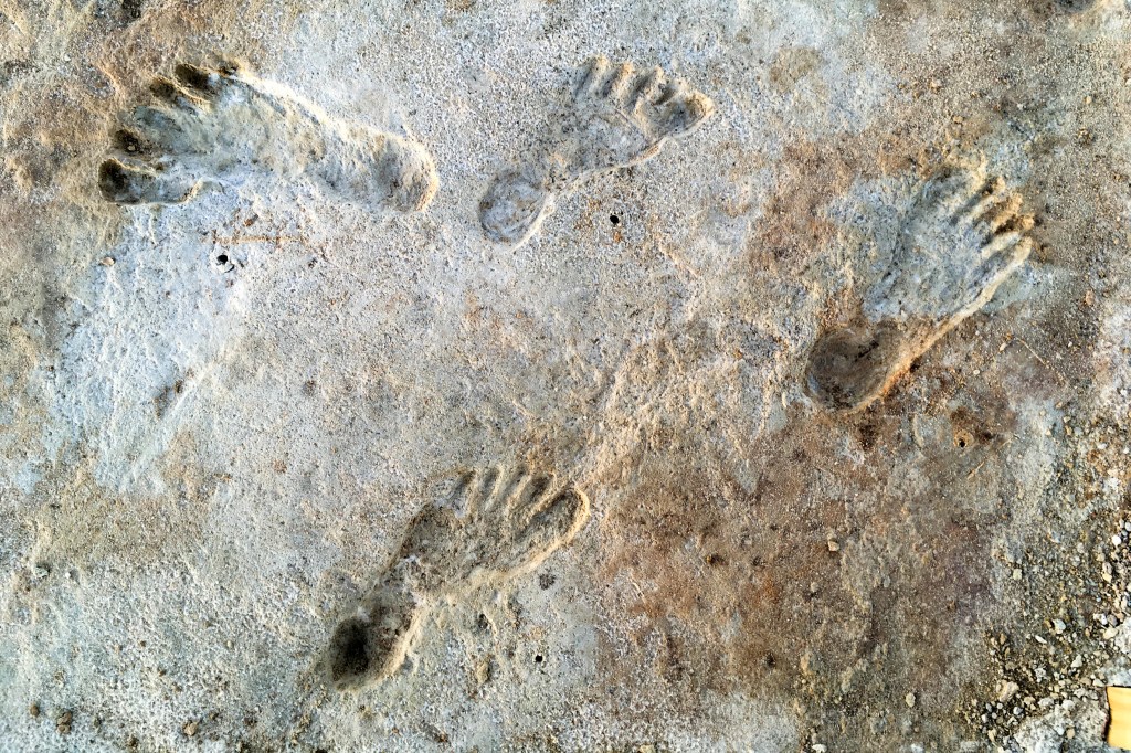 Fossilised human footprints