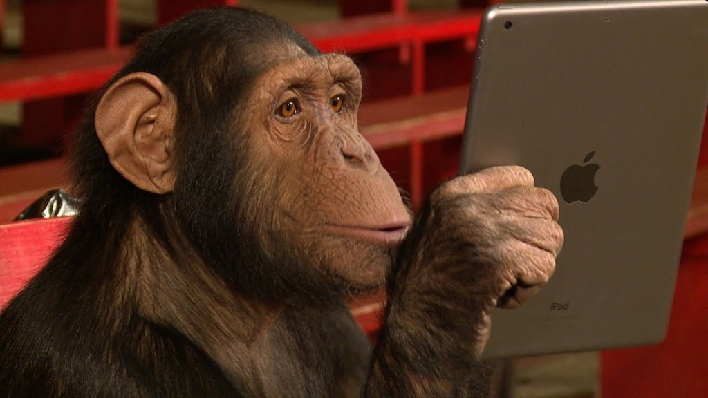 Monkey looking at an Ipad