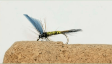 A tied fishing gly